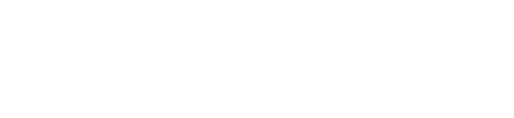 플렉스튜디오